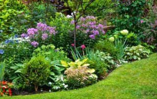 a beautiful flower garden