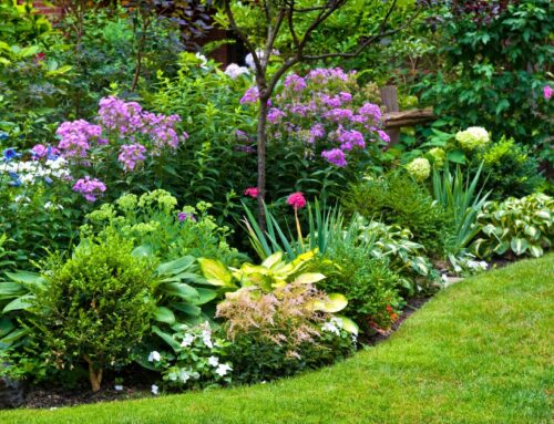 Don’t Let the Weeds Take Over the Garden: How Positive Self-Talk Fuels Personal and Professional Growth