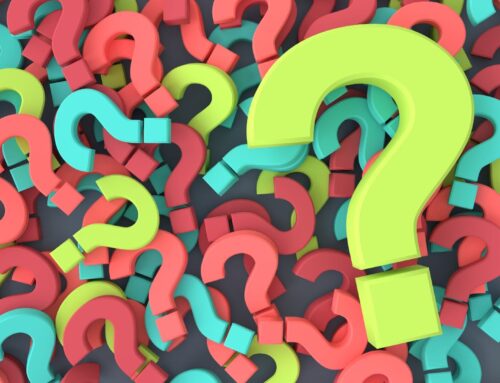 Bold Moves Begin with Bold Questions